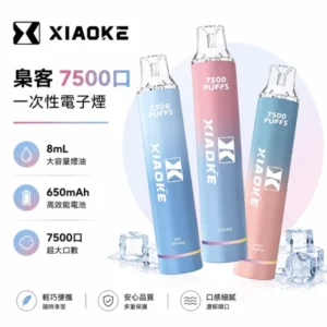 XIAOKE 梟客 7500口一次性電子煙 ｜ 8ml油倉 650mAh電池 ｜ Type-C快充 氣動感應 20種口味